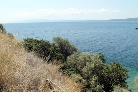 16500m² Land en Chalkidiki, Greece No. 56577 4