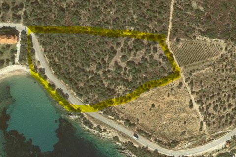 16500m² Land en Chalkidiki, Greece No. 56577 9