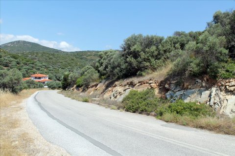 16500m² Land in Chalkidiki, Greece No. 56577 5