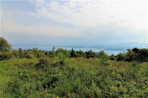 2700m² Land in Corfu, Greece No. 57353 1