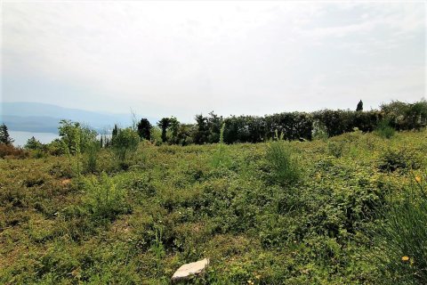 2700m² Land à Corfu, Greece No. 57353 5