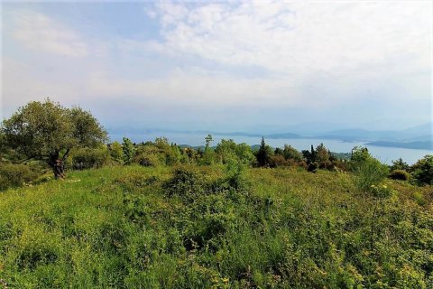 2700m² Land à Corfu, Greece No. 57353 2