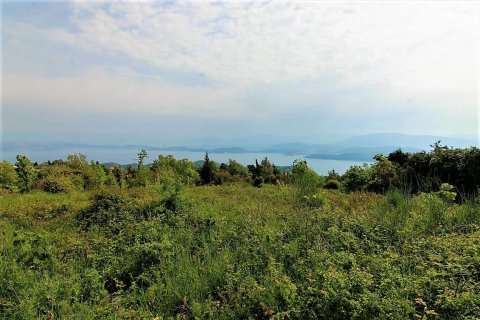 2700m² Land à Corfu, Greece No. 57353 6