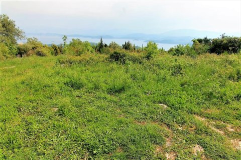 2700m² Land à Corfu, Greece No. 57353 3