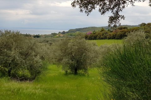 6500m² Land en Chalkidiki, Greece No. 57316 13