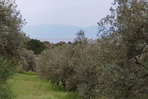 6500m² Land in Chalkidiki, Greece No. 57316 10