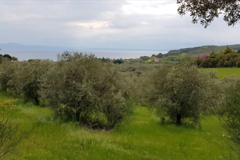 6500m² Land in Chalkidiki, Greece No. 57316 12