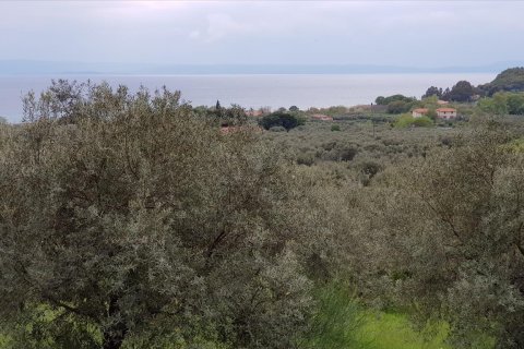 6500m² Land à Chalkidiki, Greece No. 57316 11