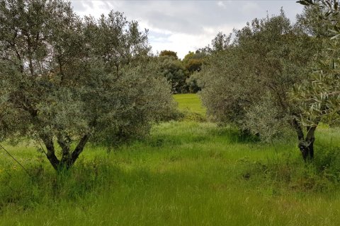 6500m² Land en Chalkidiki, Greece No. 57316 6