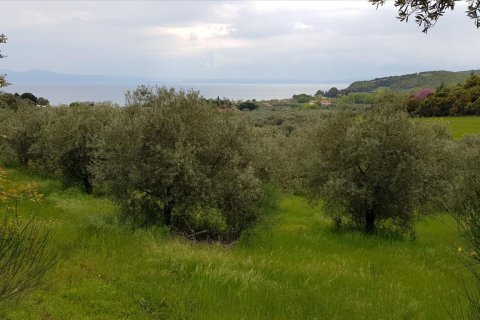 6500m² Land en Chalkidiki, Greece No. 57316 1