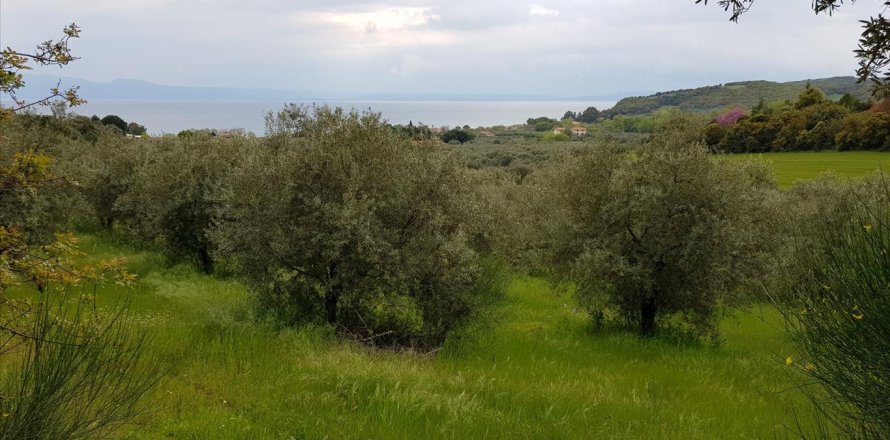 6500m² Land en Chalkidiki, Greece No. 57316