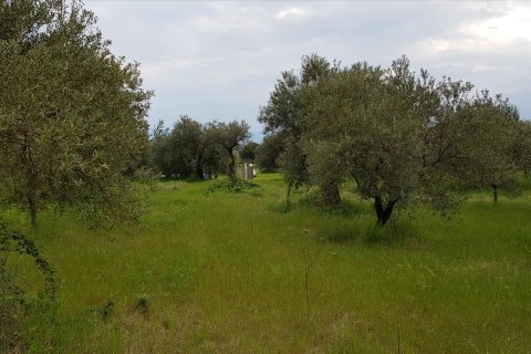 6500m² Land en Chalkidiki, Greece No. 57316 9