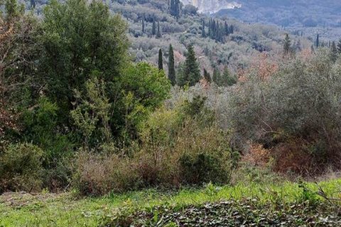 95095m² Land in Corfu, Greece No. 55316 12