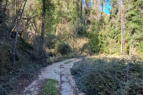 95095m² Land in Corfu, Greece No. 55316 4