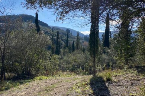 95095m² Land in Corfu, Greece No. 55316 2