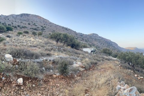 11174m² Land en Agios Nikolaos, Greece No. 55320 4