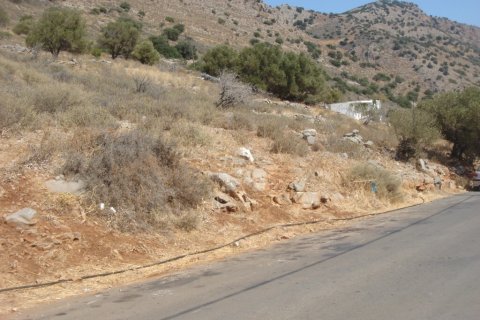 11174m² Land in Agios Nikolaos, Greece No. 55320 5