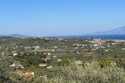 Land in Zakynthos, Greece No. 24638 12