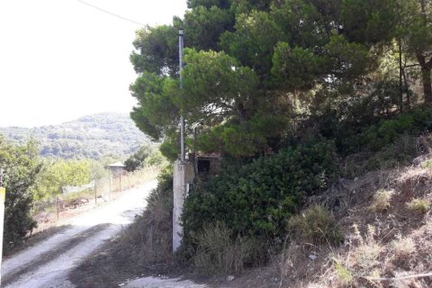 Land in Zakynthos, Greece No. 24640 9