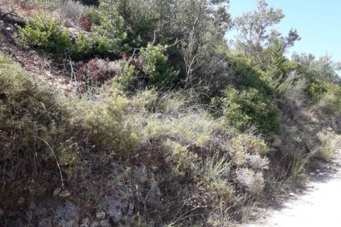 Land in Zakynthos, Greece No. 24640 10