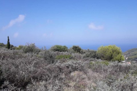 Land in Zakynthos, Greece No. 24640 22