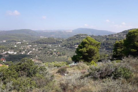 Land in Zakynthos, Greece No. 24640 20