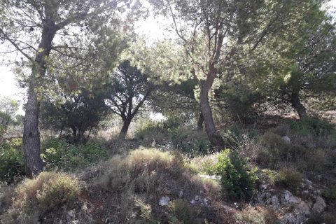 Land in Zakynthos, Greece No. 24640 4