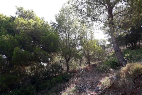 Land in Zakynthos, Greece No. 24640 7