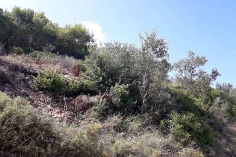 Land in Zakynthos, Greece No. 24640 11