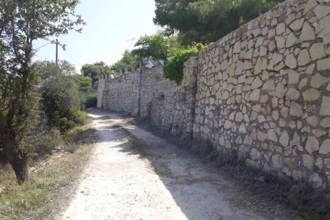 Land in Zakynthos, Greece No. 24640 3