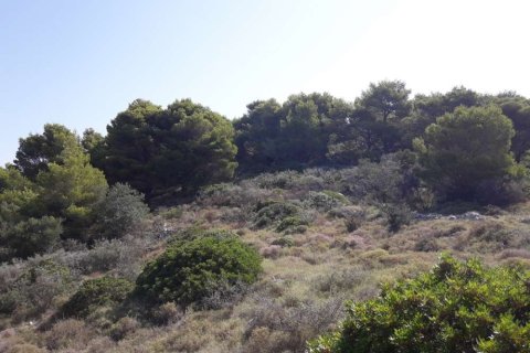 Land in Zakynthos, Greece No. 24640 19