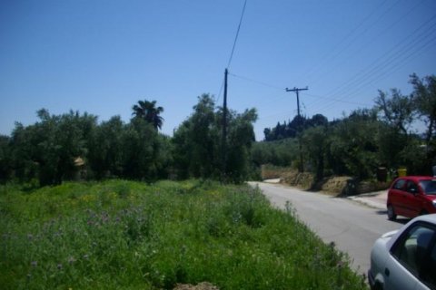 Land in Zakynthos, Greece No. 24509 2