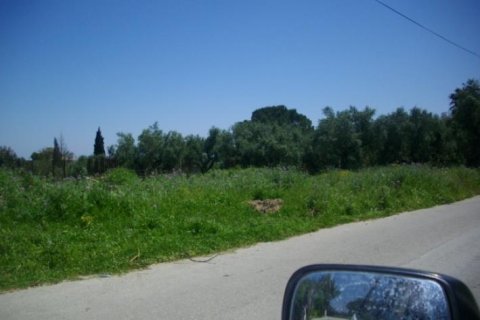 Land in Zakynthos, Greece No. 24509 5