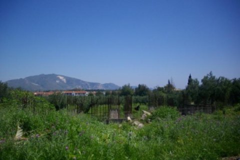 Land en Zakynthos, Greece No. 24509 1