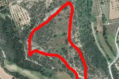 19733m² Land in Agios Theodoros, Cyprus No. 28046 5