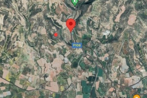 19733m² Land in Agios Theodoros, Cyprus No. 28046 6