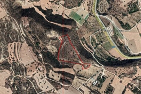 19733m² Land in Agios Theodoros, Cyprus No. 28046 4