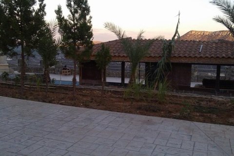 6 dormitorios Villa en Akrounta, Cyprus No. 28048 17