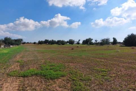 15973m² Land in Avgorou, Cyprus No. 28047 5