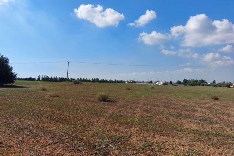 15973m² Land in Avgorou, Cyprus No. 28047 8