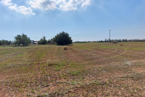 15973m² Land in Avgorou, Cyprus No. 28047 7