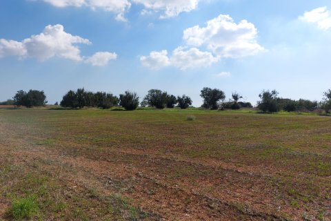 15973m² Land in Avgorou, Cyprus No. 28047 6