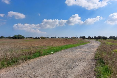 15973m² Land in Avgorou, Cyprus No. 28047 1