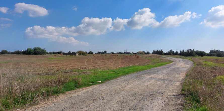 15973m² Land in Avgorou, Cyprus No. 28047