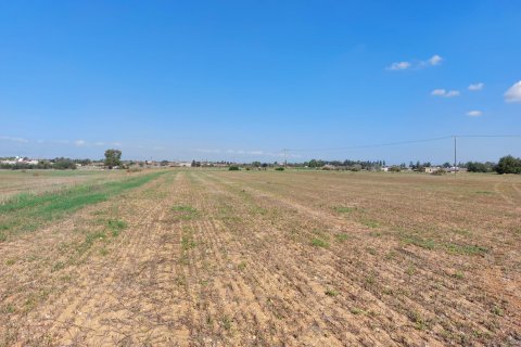 15973m² Land in Avgorou, Cyprus No. 28047 3