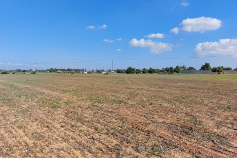 15973m² Land in Avgorou, Cyprus No. 28047 2