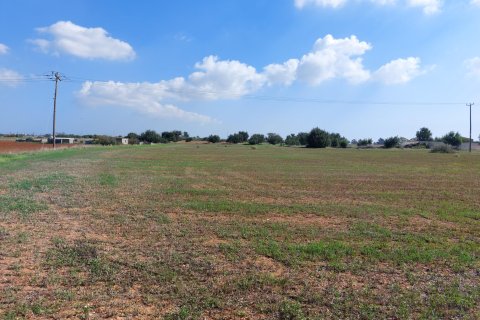 15973m² Land in Avgorou, Cyprus No. 28047 4