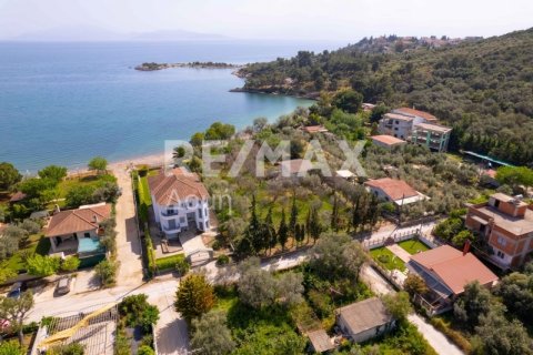 2504m² Land in Magnesia, Greece No. 28000 12