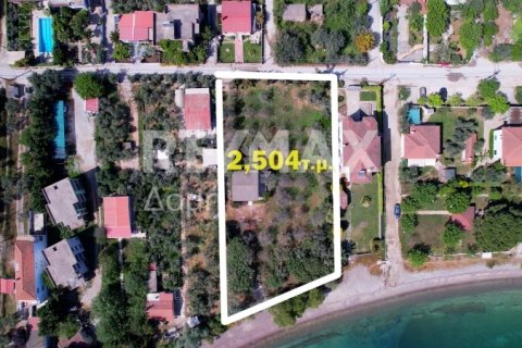 2504m² Land à Magnesia, Greece No. 28000 4