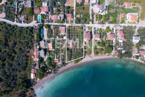 2504m² Land à Magnesia, Greece No. 28000 6